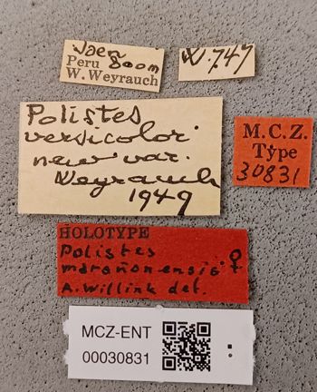 Media type: image;   Entomology 30831 Aspect: labels